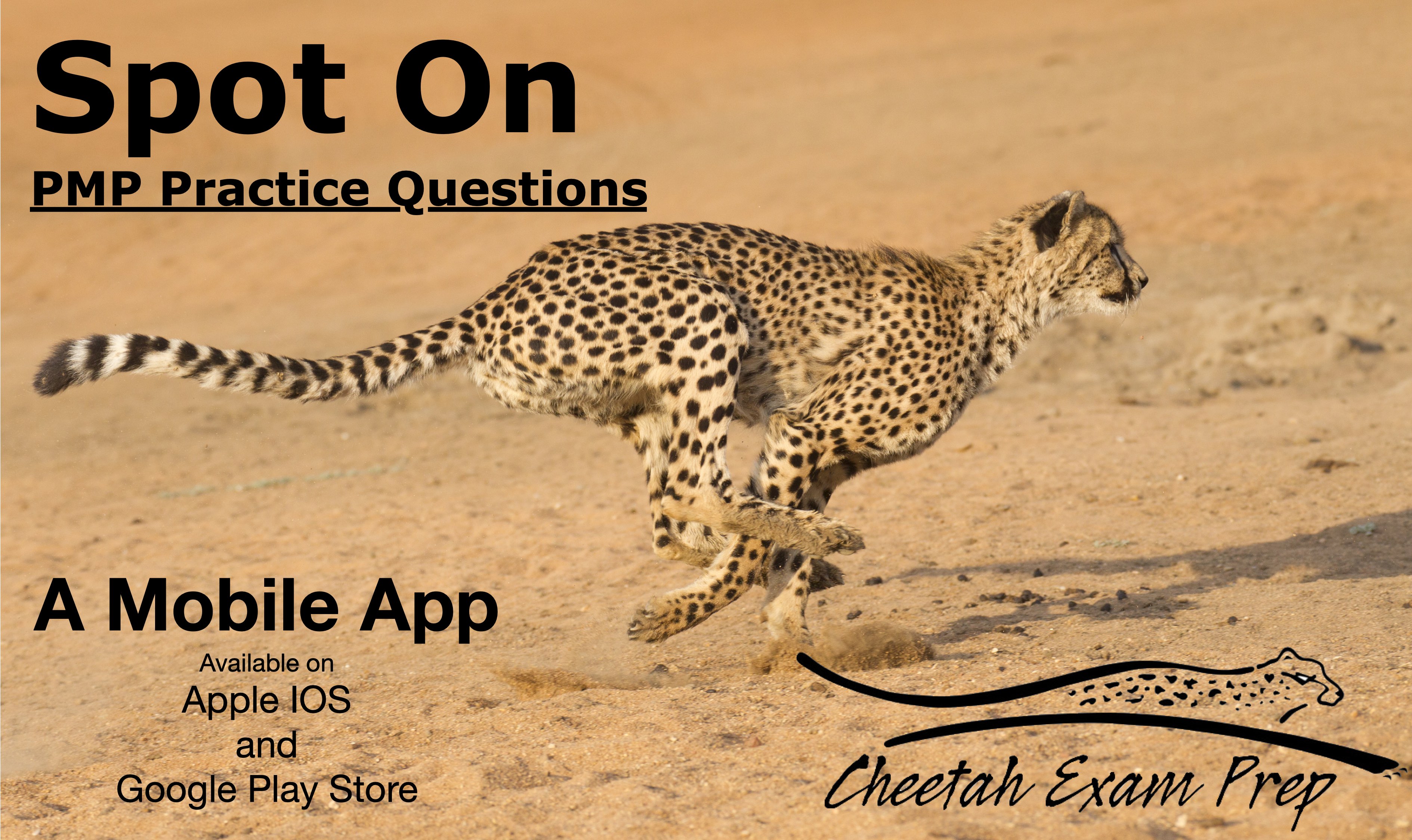 learn-about-cheetah-pmp-exam-prep